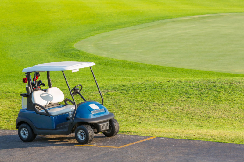 What Can a Golf Cart Dealer in Sun City Center Offer You?