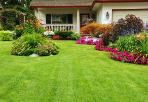 Use Beautiful Landscaping to Improve the Value of Your Belmont Home