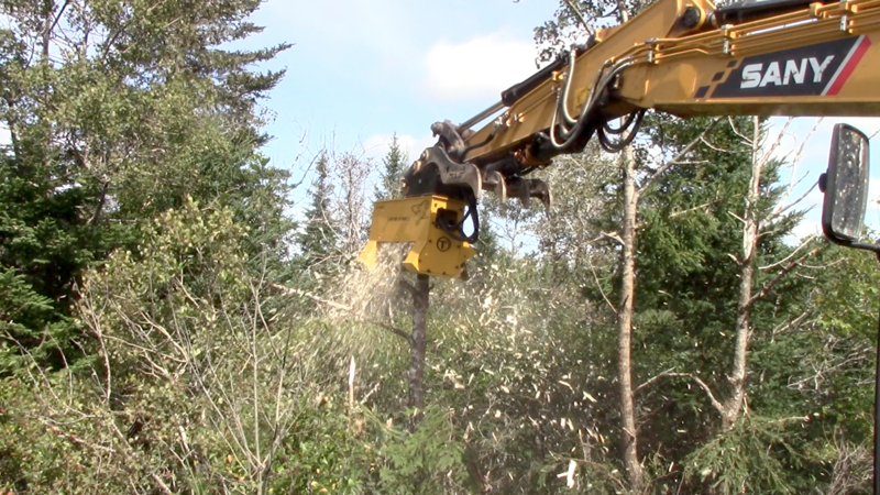 What to Know About a Brush Cutter for a Mini Excavator