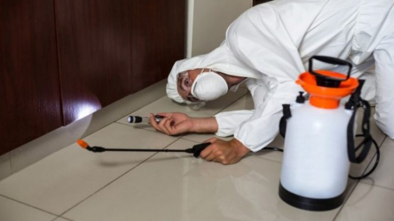 How to Know When to Contact Pest Control Services in Peachtree City, GA