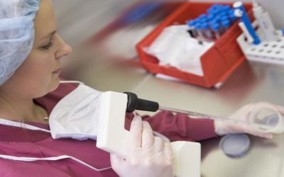 4 Candidates for Preimplantation Genetic Testing in Newport Beach, CA