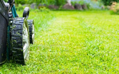 Achieve Lawn Perfection With The Expertise of Residential Lawn Service in Anchorage, AK