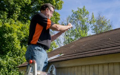 Find the Best Roofing Specialist in Champaign, IL for Your Home