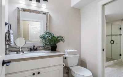 Uncover Master Bathroom Renovation Ideas for Highlands Ranch CO