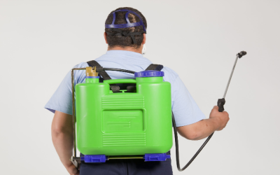 How to Keep Your Home Safe With Expert Pest Control Near Newnan, GA