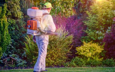 Enjoy a Beautiful Lawn With Help From a Weed Control Company Huntsville AL Residents Trust