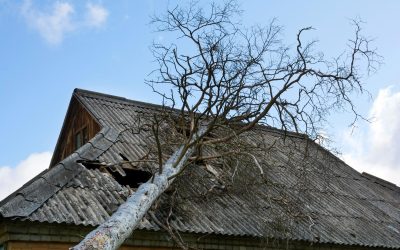 When Storm Damage Affects the Yard, Seek Emergency Tree Work in Glen Ellyn IL