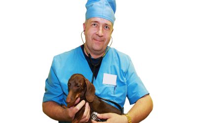 Finding Peace of Mind With an Emergency Vet Louisville KY During Pet Emergencies