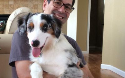 Ease Your Dog’s Pain With Natural Remedies For Hip Dysplasia In Dogs at Home