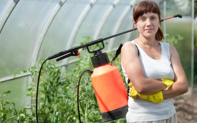 Protect Lakes and Ponds with Proven Aquatic Weed Control Methods That Actually Work