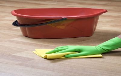 Enjoy a Healthier Home Environment Using House Cleaning in St. Charles, IL Services