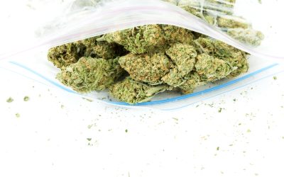 Enjoy a Relaxing Experience with Cannabis Near Steamboat Springs CO on Your Next Getaway