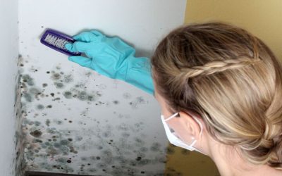Protect Your Home from Hidden Dangers with Certified Mold Inspection Services in Madison, WI