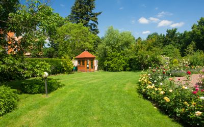 Transform your yard with lawn maintenance services in Anchorage, AK, that locals trust for reliable results.