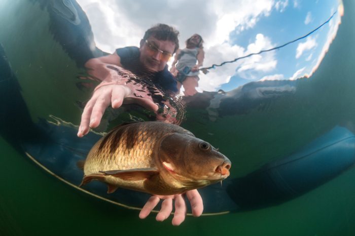 Fisherman catches a fish in water