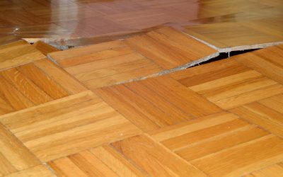 Fast Recovery Solutions for Flooded Homes Using Water Damage Restoration in Downers Grove, IL