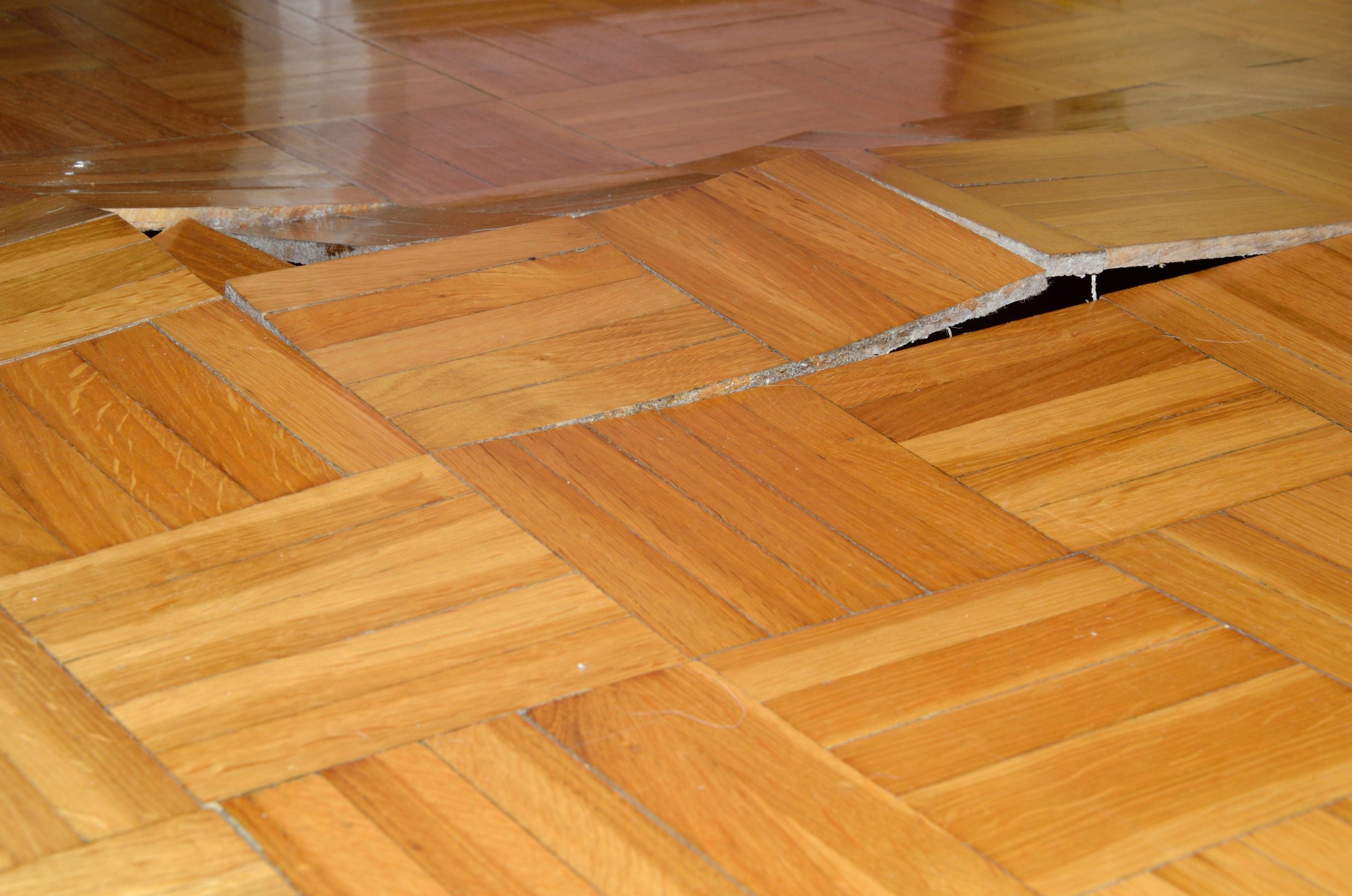 Parquet Lifted Up