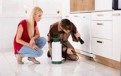 Year-Round Protection From Seasonal Pests With Professional Pest Control NJ