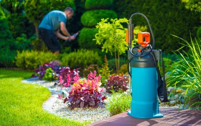 Creative Ways to Enhance Curb Appeal Using Landscape Design Charlotte NC Ideas