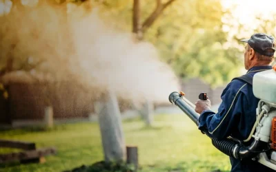 Create a Safe Outdoor Space Using Mosquito Control in Mt. Washington, KY, Methods