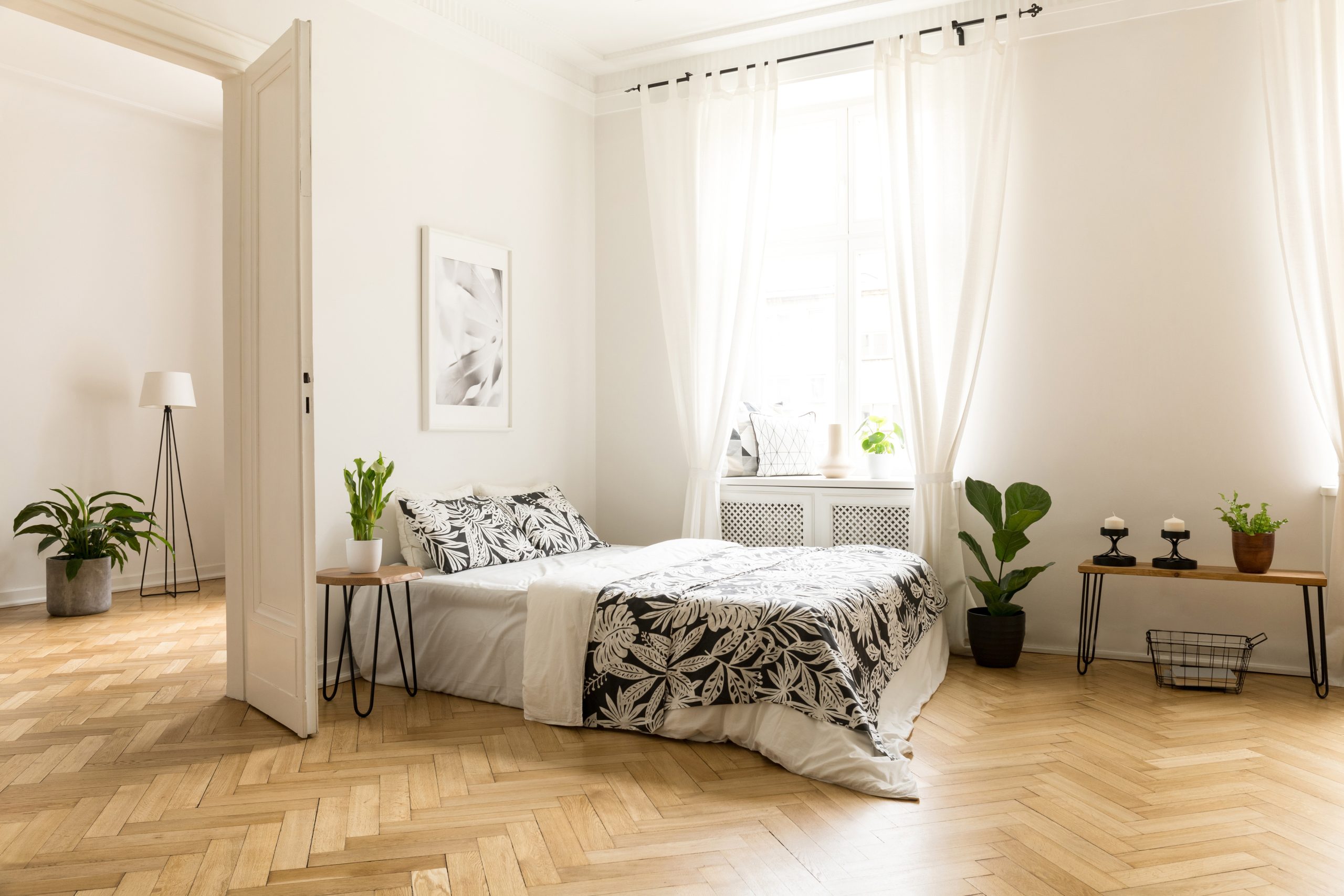 Plant on table next to bed in white open space interior with win